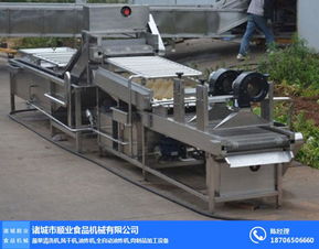 青椒清洗流水线哪家好 顺业食品机械 黑龙江青椒清洗流水线
